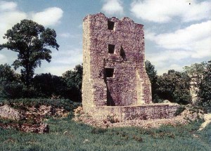 cetatea_severinului