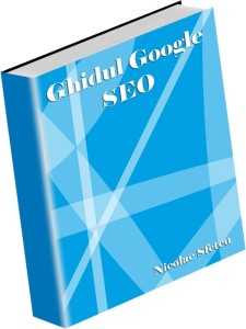 3D-Ghidul_Google_SEO