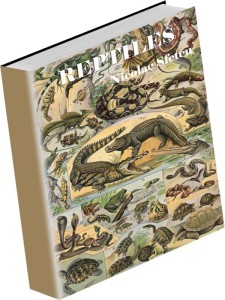3D-Reptiles