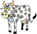 vaca