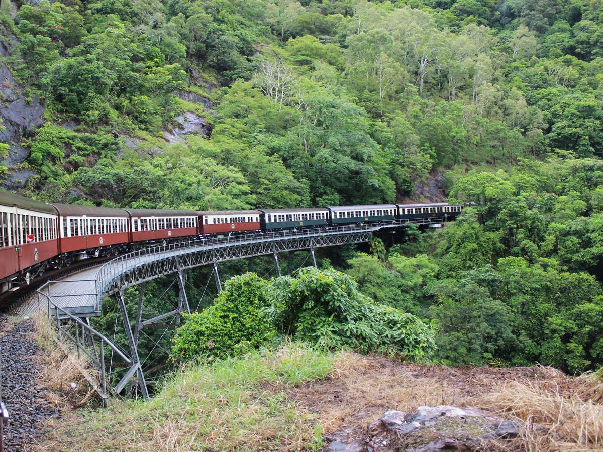 train
