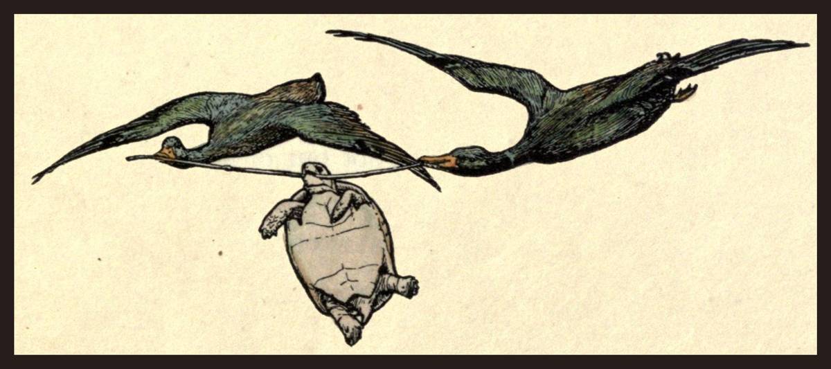 La bavarde tortue