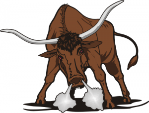 bullt