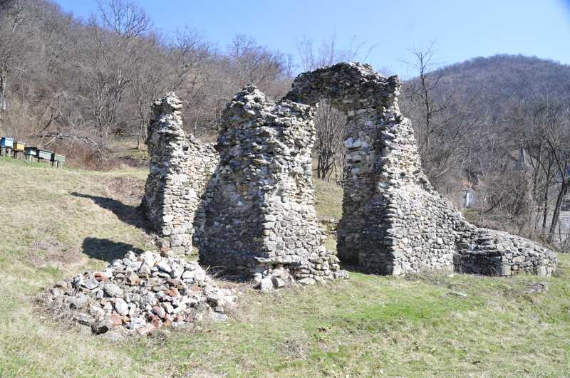 Mănăstirea Vodiţa - ruinele vechiului lăcaş