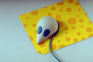 Mouse