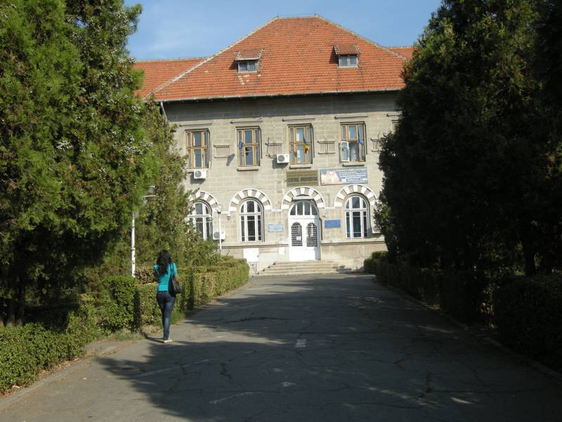 facultate sediu