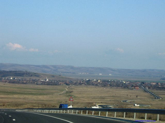 Rogova