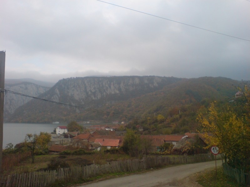 dubova