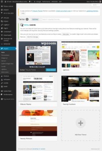 sitweb-teme