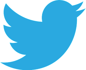 Twitter_bird_logo_2012.svg_1-300x242.png