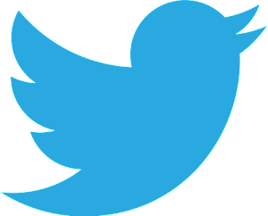 Twitter_bird_logo_2012.svg