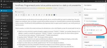 WordPress-Programare_post.jpg