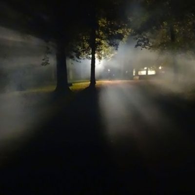 forest-549664.jpg