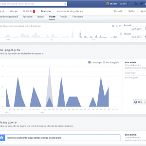 Facebook-Statistici-Vizite