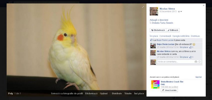 Facebook-Fotografie.jpg