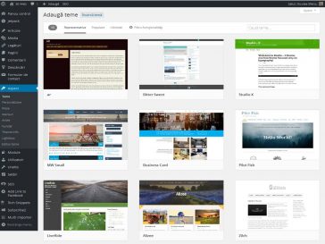 Wordpress-Teme.jpg