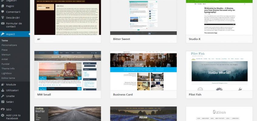 Wordpress-Teme.jpg