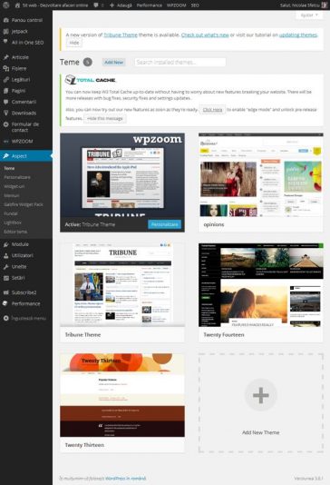 sitweb-teme.jpg