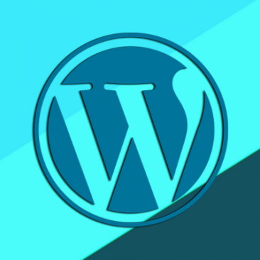 Wordpress-Dezvoltatori
