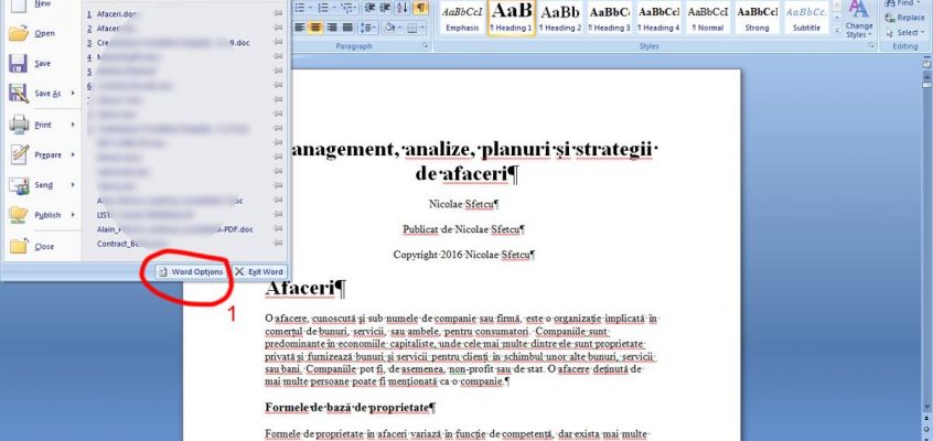 Word2007Comenzi1.jpg