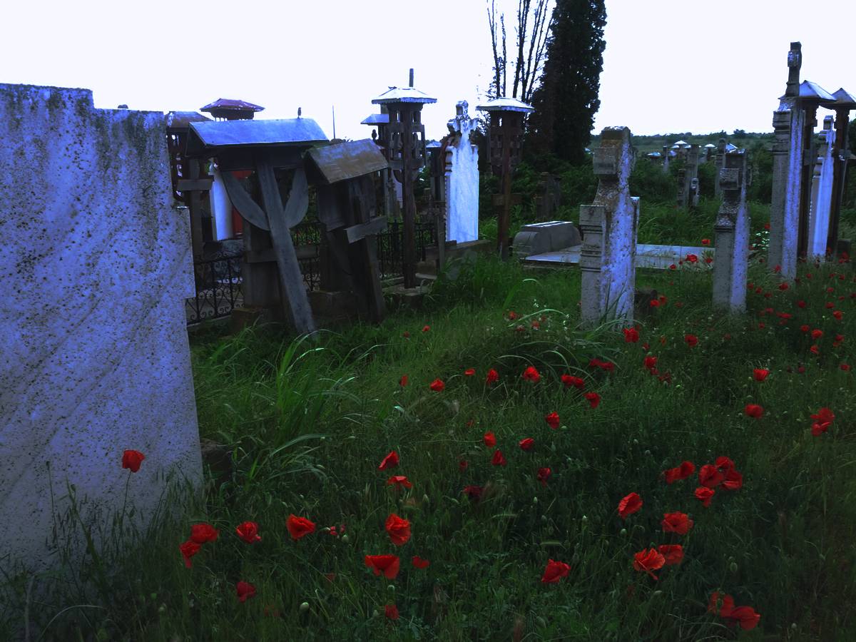 Cimitir