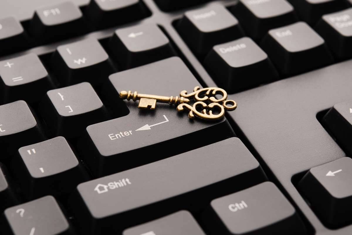 criminalitatea informatică