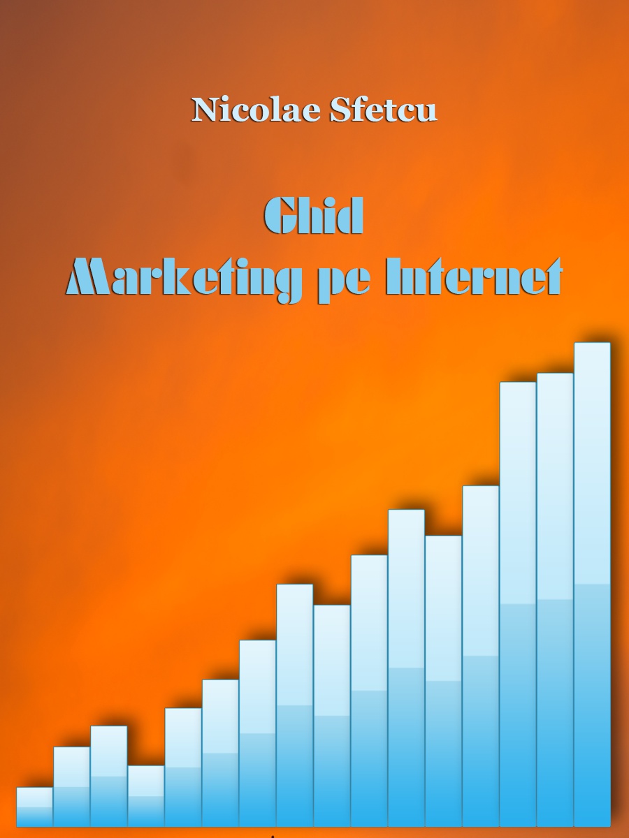 Ghid marketing pe Internet