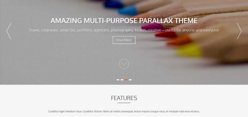 AccessPress Parallax