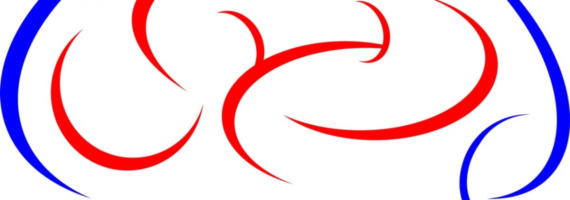 Moarte cerebrală
