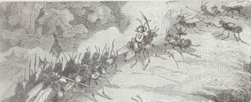 A raid of slaves