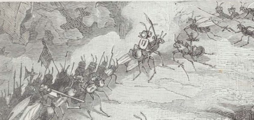 A raid of slaves