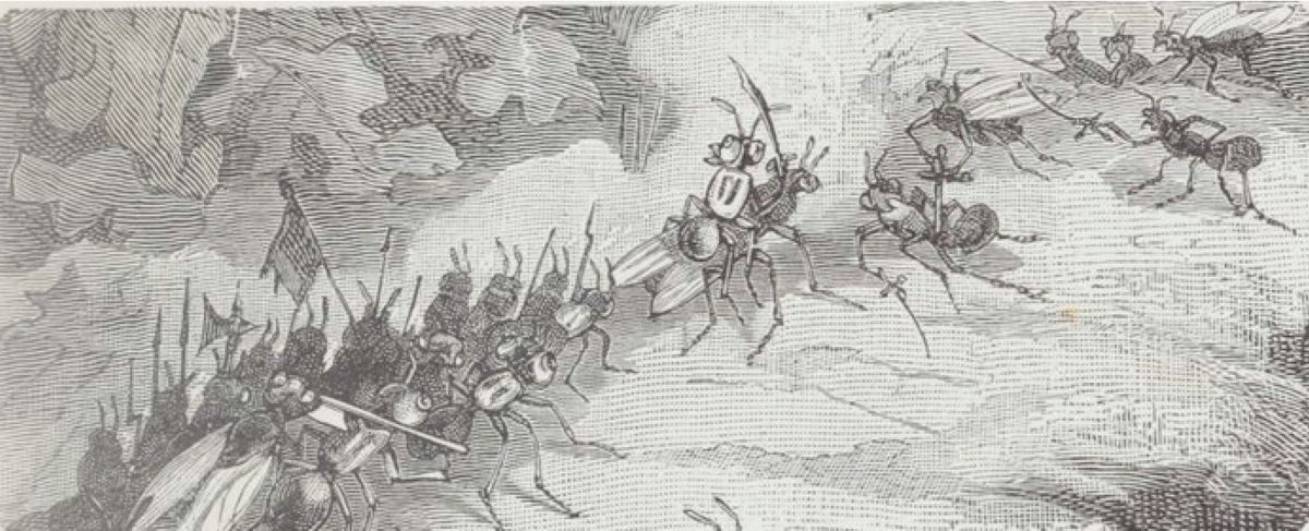 A raid of slaves
