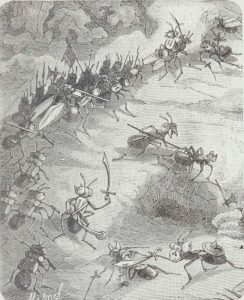 A raid of slaves