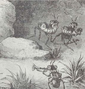 A raid of slaves