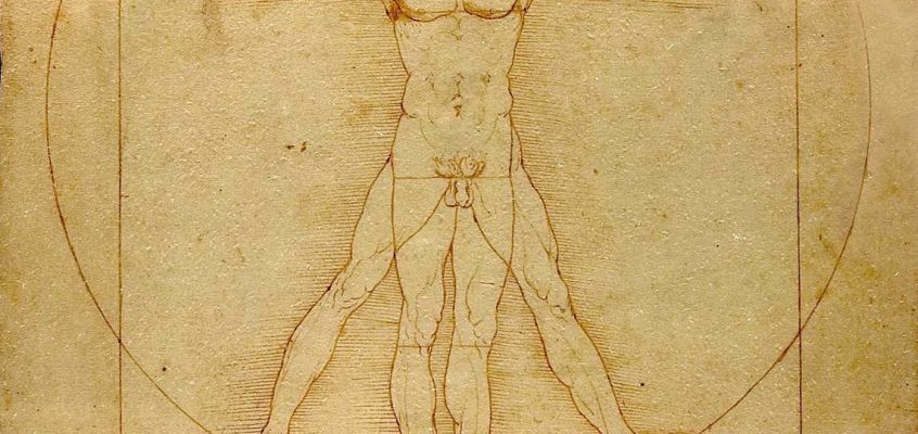 Leonardo da Vinci, Omul Vitruvian