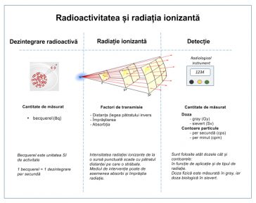 Relațiile dintre radioactivitate și radiațiile ionizante detectate