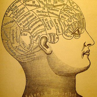 O cartografiere frenologică a creierului