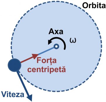 Mișcare circulară sub acțiunea forței centripete