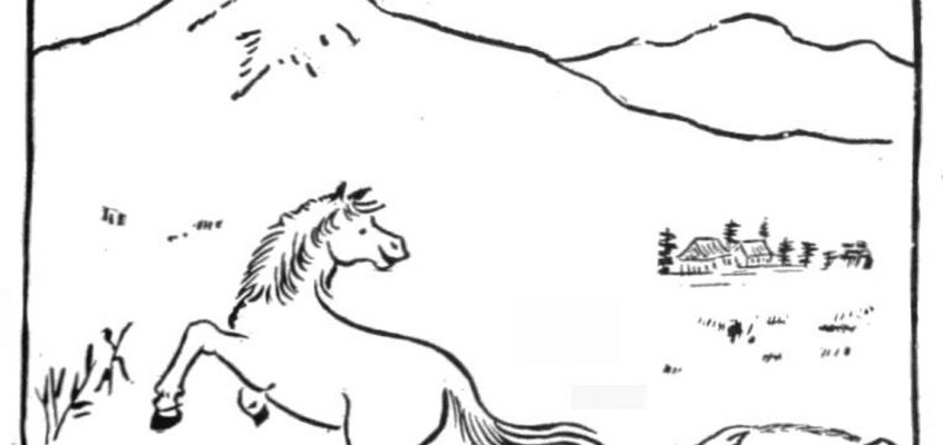 La fête de la paix des animaux