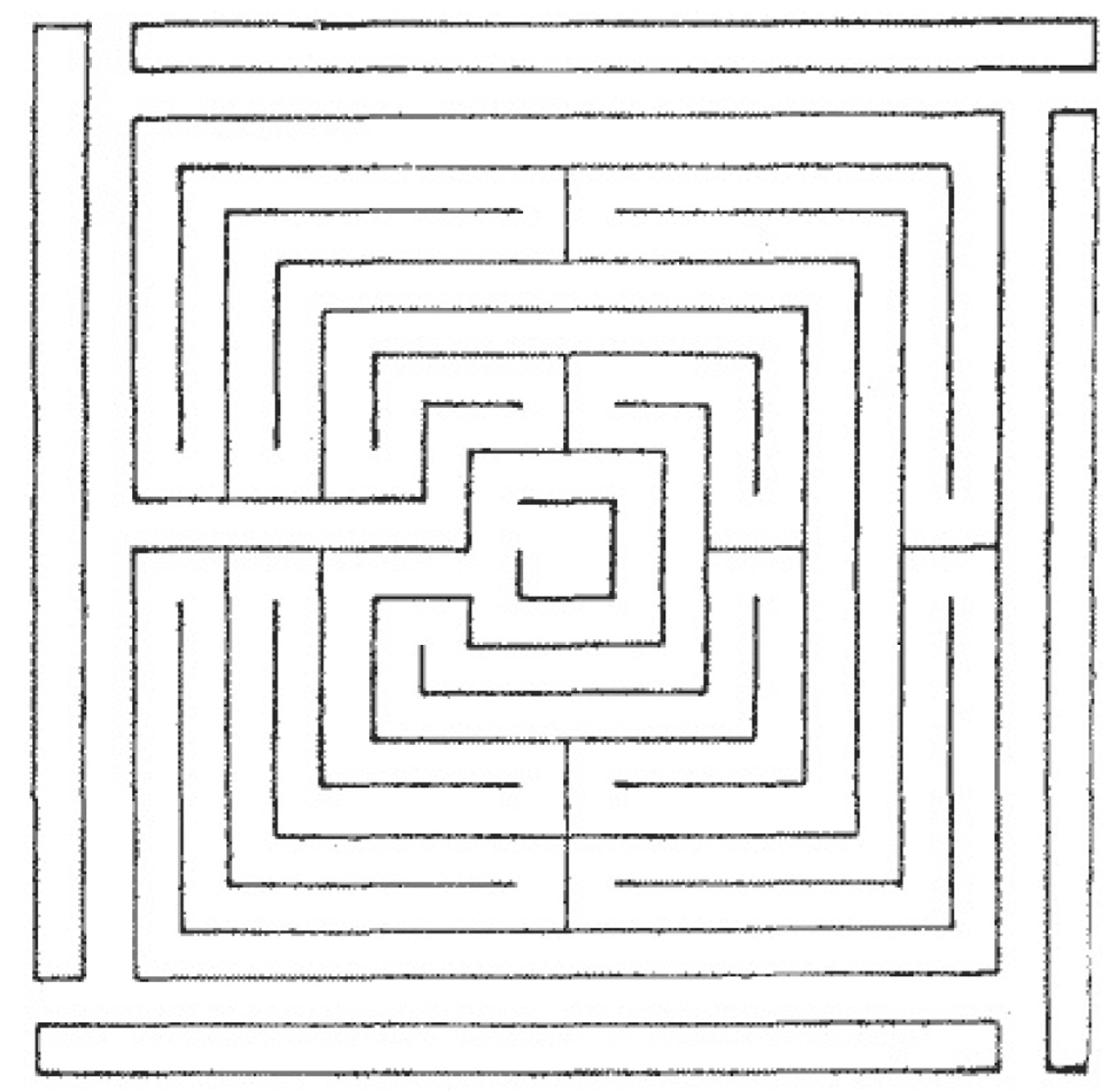 labirint pentru vedere)