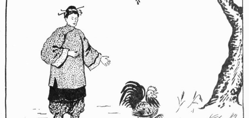 Le poulet fier