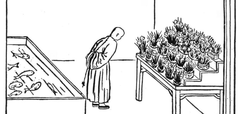 Le poisson et les fleurs