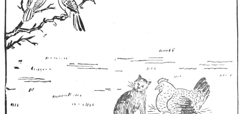 La poule, le chat et l'oiseau