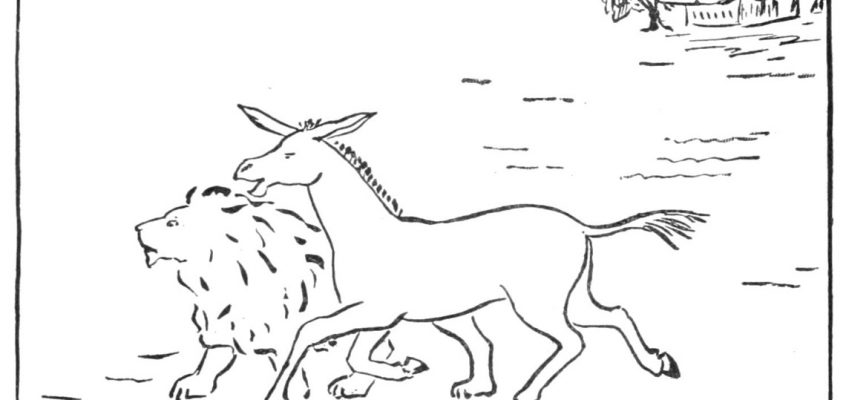 La mule et le lion