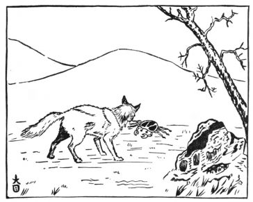 Le renard fier et le crabe
