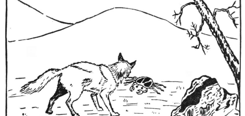 Le renard fier et le crabe