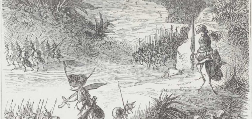 The Invasion