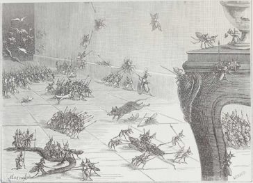 The adventures of a red ant