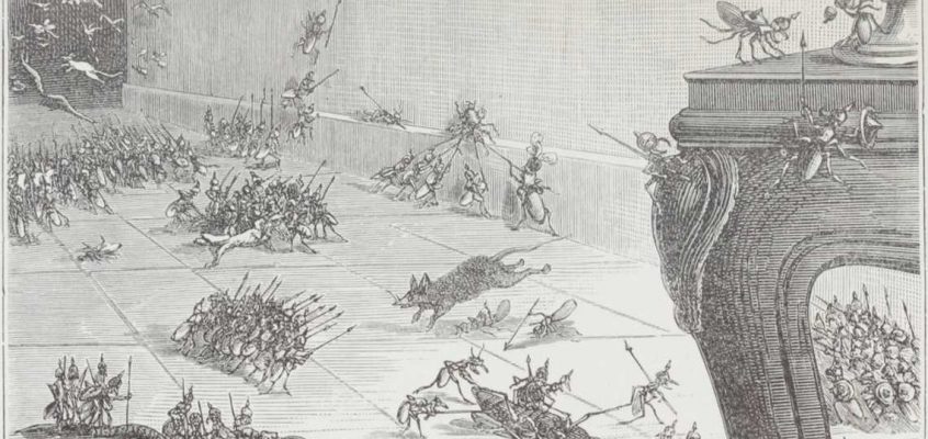 The adventures of a red ant