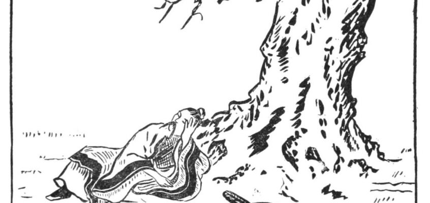 Le général, l'oiseau et la fourmi